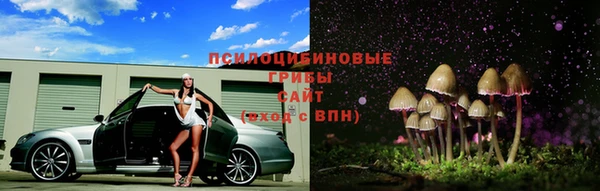 бутират Алзамай