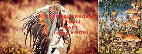 шишки Алексеевка