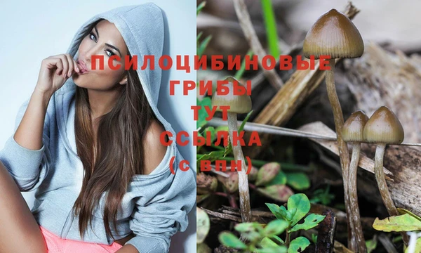 бутират Алзамай