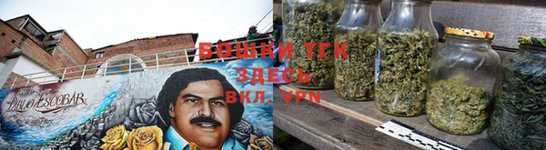 шишки Алексеевка